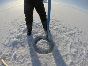John making a hole in the ice which allows us to deploy the hydrophone and setup a temporary monitoring station while we perform the playback experiments. Making a hole in the ice it's a matter of technique! Photo: L. Agusti.